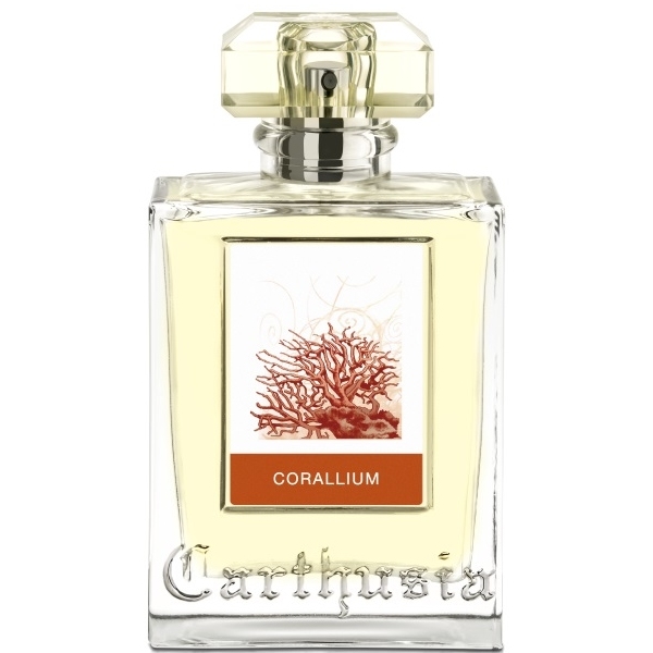 珍しい カルトゥージア Mediterraneo 10ml EDP terrabrasilisland.com.br